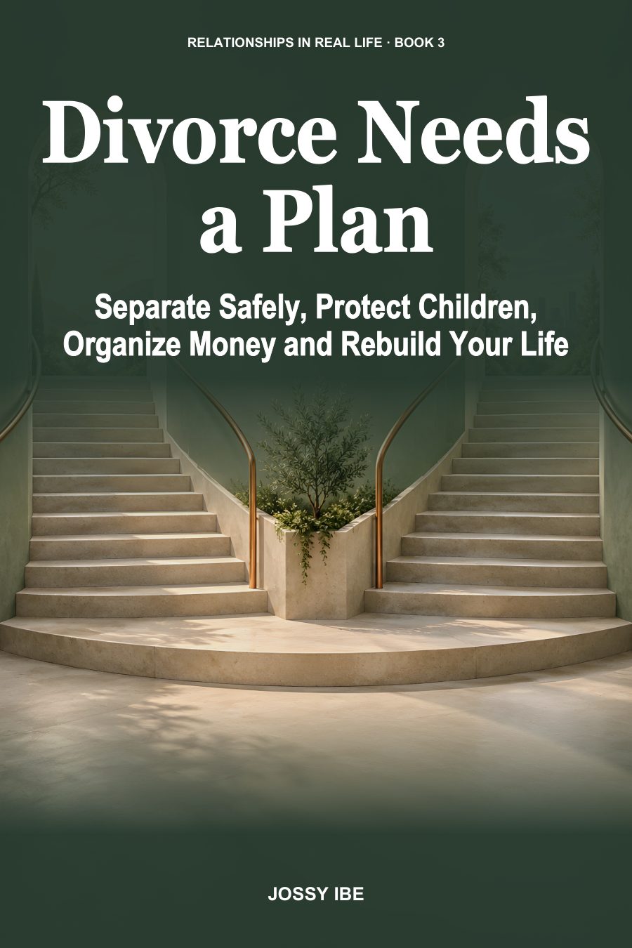 Divorce Needs a Plan front cover
