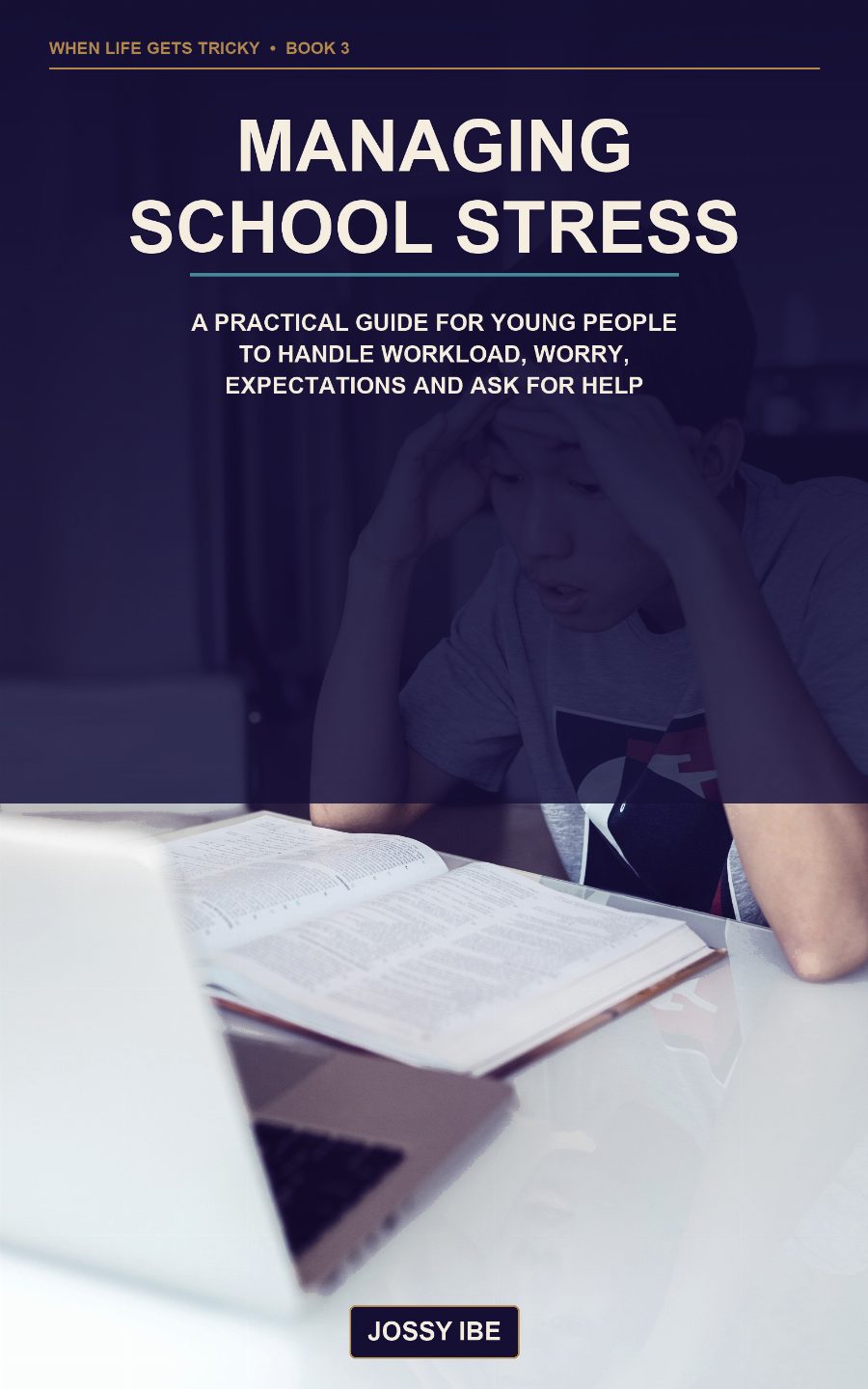 Managing School Stress preview